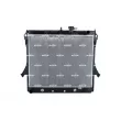 Radiateur, refroidissement du moteur NRF 550129 - Visuel 1