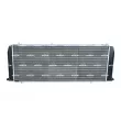 Radiateur, refroidissement du moteur NRF 550131A - Visuel 3