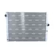 Radiateur, refroidissement du moteur NRF 550134 - Visuel 1