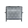 Radiateur, refroidissement du moteur NRF 550135 - Visuel 3