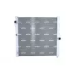 Radiateur, refroidissement du moteur NRF 550137 - Visuel 1