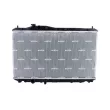 Radiateur, refroidissement du moteur NRF 550143 - Visuel 1