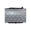 Radiateur, refroidissement du moteur NRF 550161 - Visuel 1