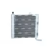 Radiateur, refroidissement du moteur NRF 550176 - Visuel 1