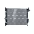 Radiateur, refroidissement du moteur NRF 550178 - Visuel 1