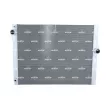 Radiateur, refroidissement du moteur NRF 550185 - Visuel 1