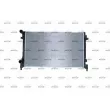 Radiateur, refroidissement du moteur NRF 550194 - Visuel 1