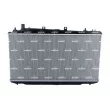 Radiateur, refroidissement du moteur NRF 550196 - Visuel 3