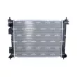 Radiateur, refroidissement du moteur NRF 550204 - Visuel 1