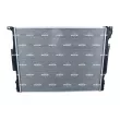 Radiateur, refroidissement du moteur NRF 550205 - Visuel 3