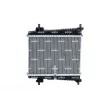 Radiateur, refroidissement du moteur NRF 550214 - Visuel 1
