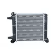 Radiateur, refroidissement du moteur NRF 550235 - Visuel 3