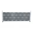 Radiateur, refroidissement du moteur NRF 550267 - Visuel 1