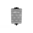 Radiateur, refroidissement du moteur NRF 550274 - Visuel 1