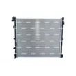 Radiateur, refroidissement du moteur NRF 550282 - Visuel 1