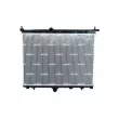 Radiateur, refroidissement du moteur NRF 550296 - Visuel 1