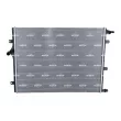 Radiateur, refroidissement du moteur NRF 550337 - Visuel 1