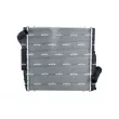 Radiateur, refroidissement du moteur NRF 550343 - Visuel 1