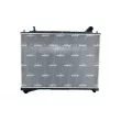 Radiateur, refroidissement du moteur NRF 550357 - Visuel 1