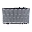 Radiateur, refroidissement du moteur NRF 56019 - Visuel 1