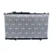 Radiateur, refroidissement du moteur NRF 56078 - Visuel 3