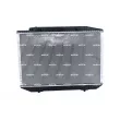 Radiateur, refroidissement du moteur NRF 58131 - Visuel 3