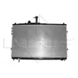 Radiateur, refroidissement du moteur NRF 58419 - Visuel 1