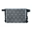 Radiateur, refroidissement du moteur NRF 58844 - Visuel 1