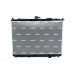 Radiateur, refroidissement du moteur NRF 59046 - Visuel 1