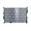 Radiateur, refroidissement du moteur NRF 59061 - Visuel 3