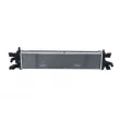 Radiateur, refroidissement du moteur NRF 59218 - Visuel 1