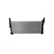 Radiateur, refroidissement du moteur NRF 59236 - Visuel 1