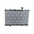 Radiateur, refroidissement du moteur NRF 59243 - Visuel 1