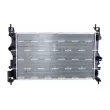Radiateur, refroidissement du moteur NRF 59272 - Visuel 1