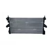 Radiateur, refroidissement du moteur NRF 59280 - Visuel 1