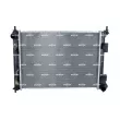 Radiateur, refroidissement du moteur NRF 59287 - Visuel 1