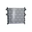 Radiateur, refroidissement du moteur NRF 59342 - Visuel 3