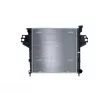 Radiateur, refroidissement du moteur NRF 59360 - Visuel 1