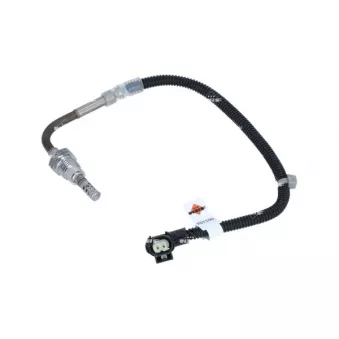 Capteur, température des gaz NRF
