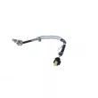 Capteur, température des gaz NRF 707205 - Visuel 2