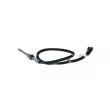 Capteur, température des gaz NRF 707239 - Visuel 3