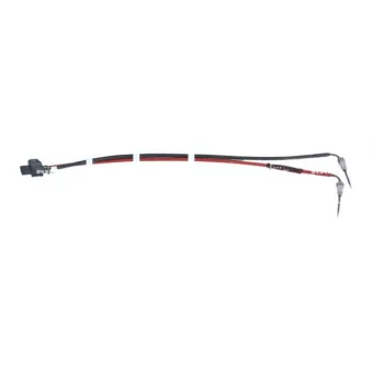 Capteur, température des gaz NRF 707380