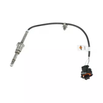 Capteur, température des gaz NRF