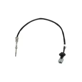 Capteur, température des gaz NRF 707430