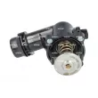 Thermostat, liquide de refroidissement NRF 725001 - Visuel 2
