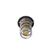 Thermostat, liquide de refroidissement NRF 725069 - Visuel 2