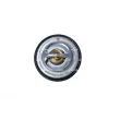 Thermostat, liquide de refroidissement NRF 725072 - Visuel 1