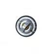 Thermostat, liquide de refroidissement NRF 725077 - Visuel 1