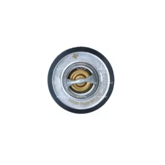 Thermostat, liquide de refroidissement NRF