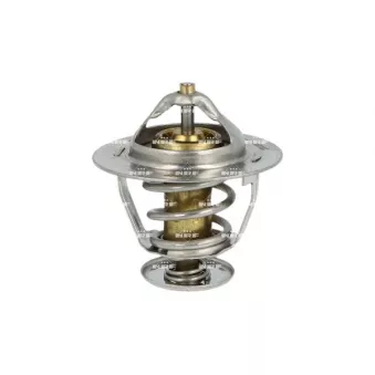 Thermostat, liquide de refroidissement NRF 725087